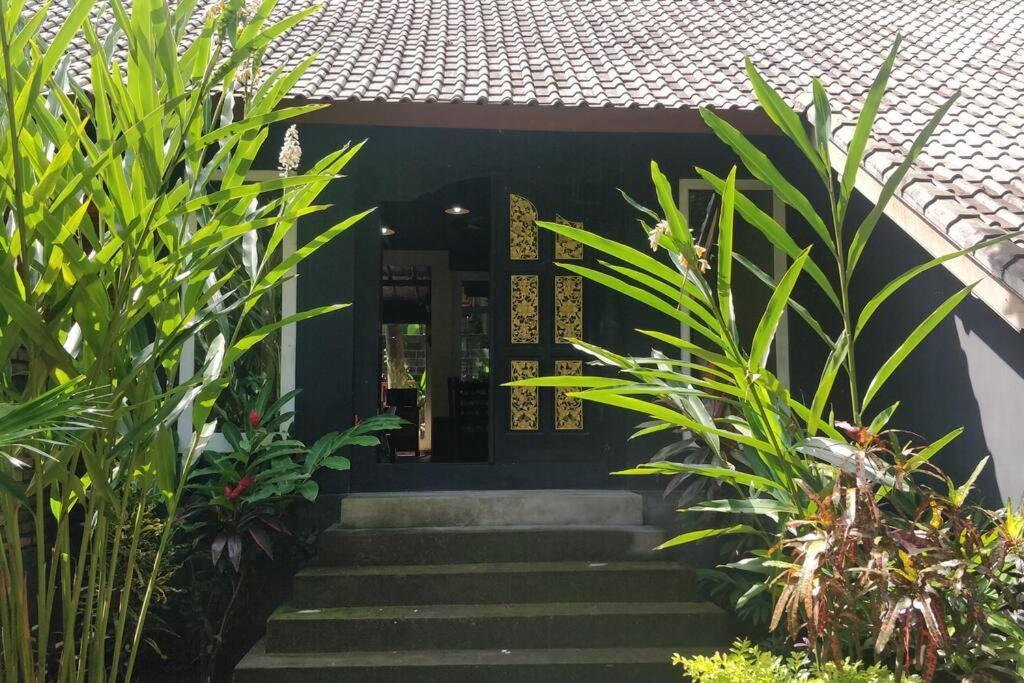 Villa King: Unique Villa With Indoor Swimming Pool آميدْ المظهر الخارجي الصورة