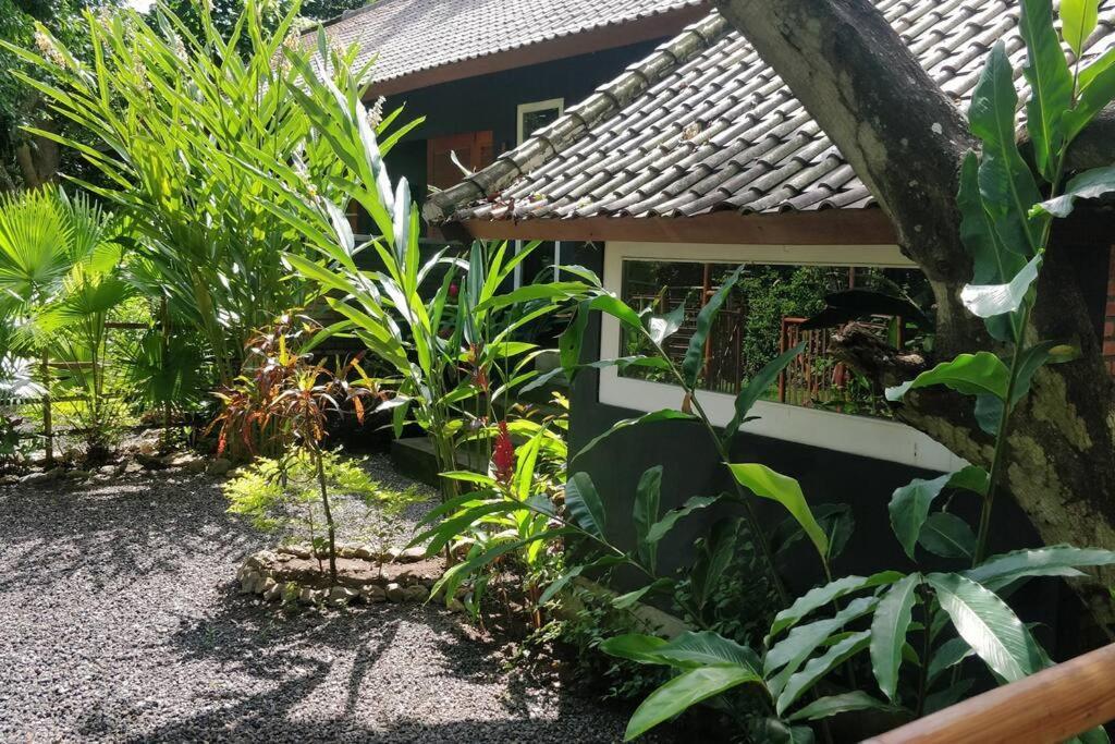 Villa King: Unique Villa With Indoor Swimming Pool آميدْ المظهر الخارجي الصورة